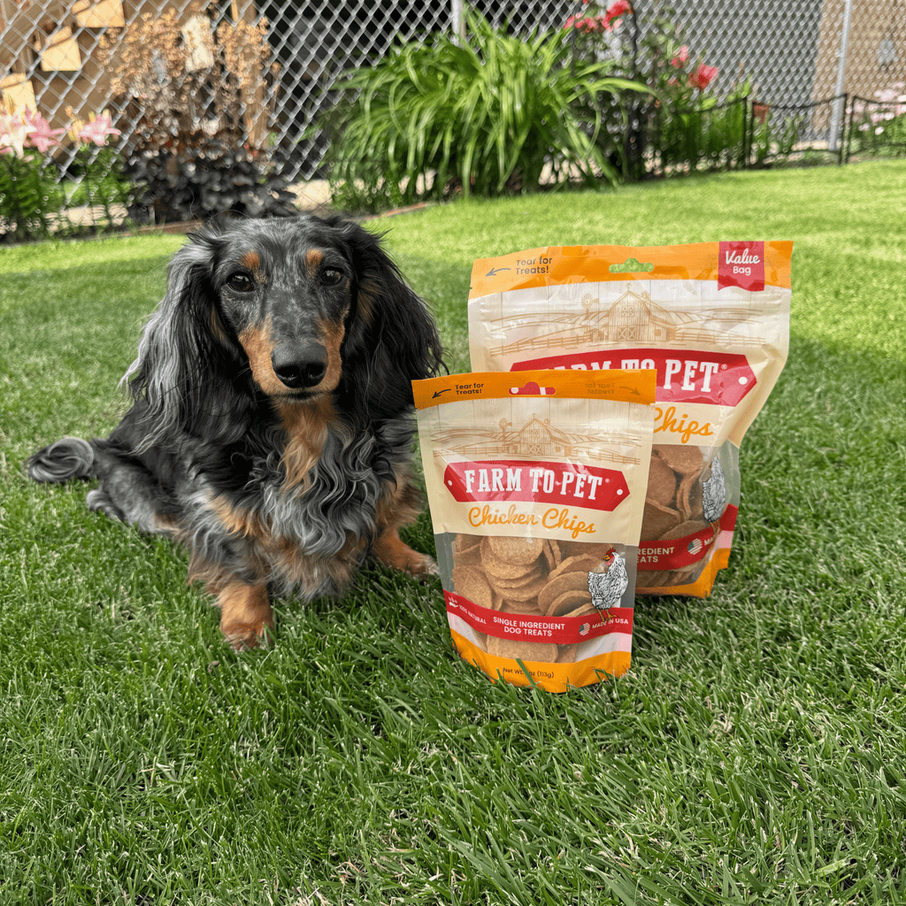 Chicken Chips for Dogs | All-Natural Single-Ingredient Dog Treats